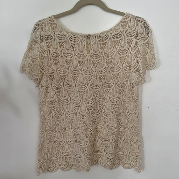 Delicate Lace top - Picture 5 of 7